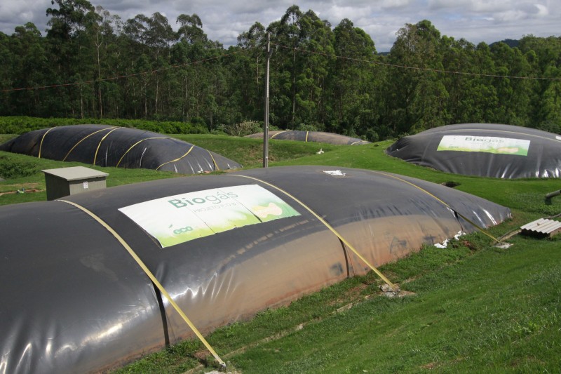 Falta de matéria-prima para manter escala é uma das dificuldades 