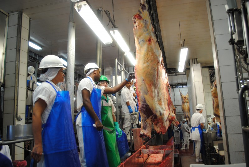 Previsão era de embarques começarem em 90 dias, mas o Mapa diz que já é possível exportar