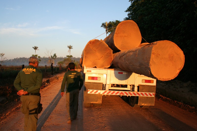 As ações são propostas pela Força-Tarefa de Defesa da Amazônia