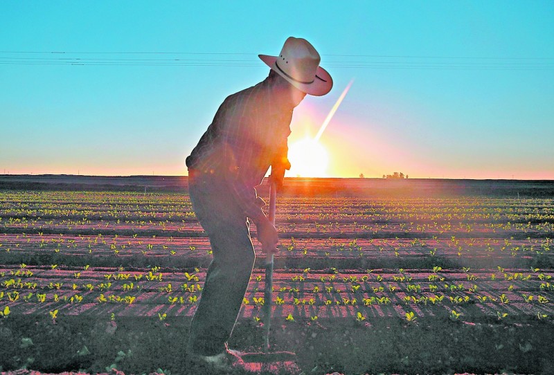 Endurecimento para a aposentadoria dos trabalhadores rurais cria foco de resistência no Congresso 