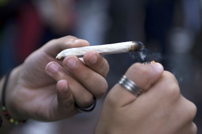 Autorização para uso da cannabis é contrariada por 73% e apoiada por 22% da população gaúcha