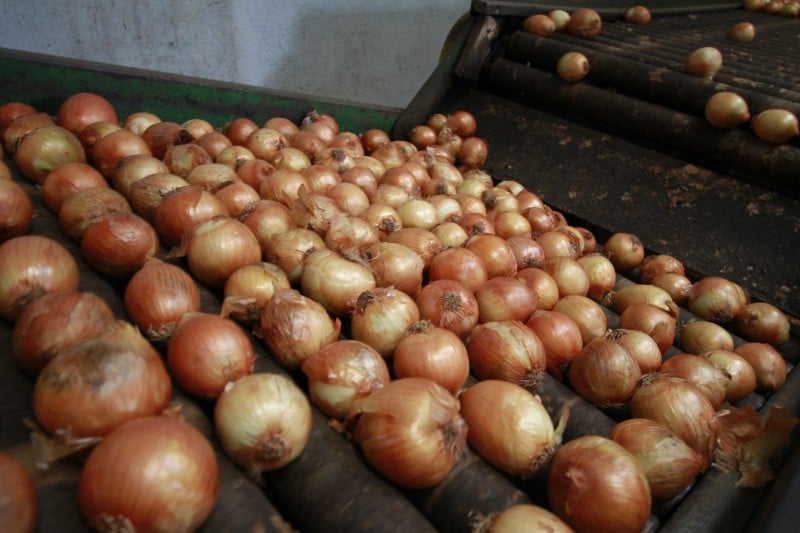 Com recuo de 25%, a cebola foi quem mais contribui para a redução