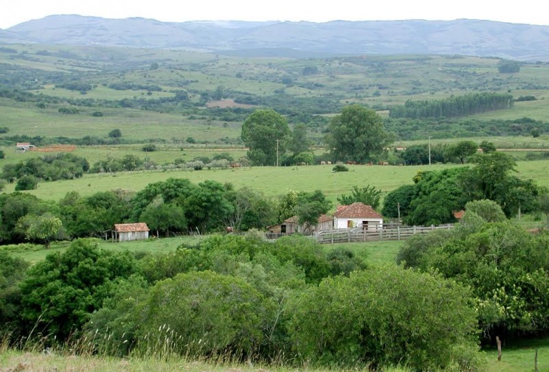 Maior parte das propriedades brasileiras já realizou o cadastramento  