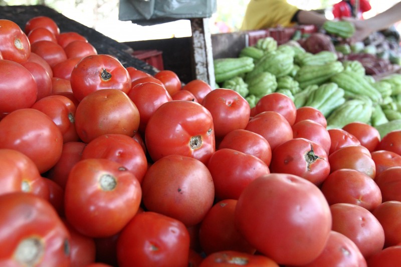 Tomate foi um dos itens que mais contribuíram para baixa do índice