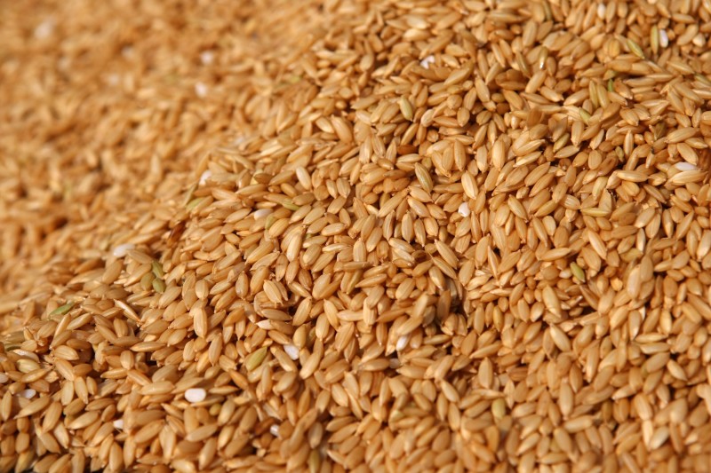 Cotação do cereal fechou ontem em R$ 40,35 a saca de 50 quilos 