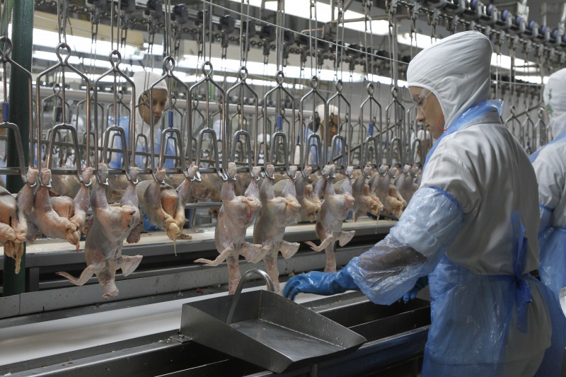 Atualmente, o Brasil responde por 84% da demanda interna de carne de frango no mercado japonês