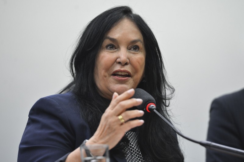 Rose de Freitas promoveu reunião da Comissão de Orçamento 