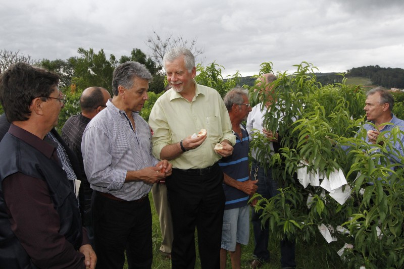 Prefeito José Fortunati (centro) realizou a abertura oficial da colheita