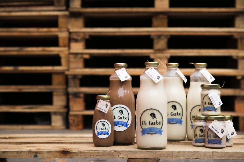 El Gato ganhou repercuss&atilde;o em portais de prote&ccedil;&atilde;o animal Foto: GIOVANI SCHERER/DIVULGA&Ccedil;&Atilde;O/JC