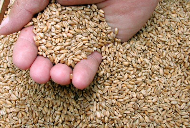 Compradores se mostram abastecidos com o cereal do início da safra