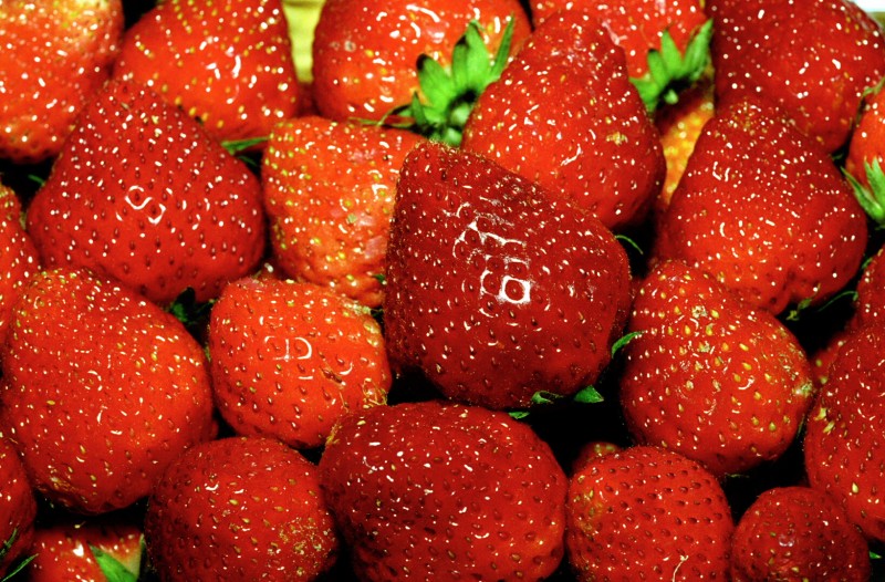 Frutas têm apresentado bom calibre e coloração