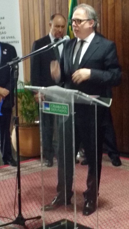 José Carlos Estefenon criticou impostos em Brasília