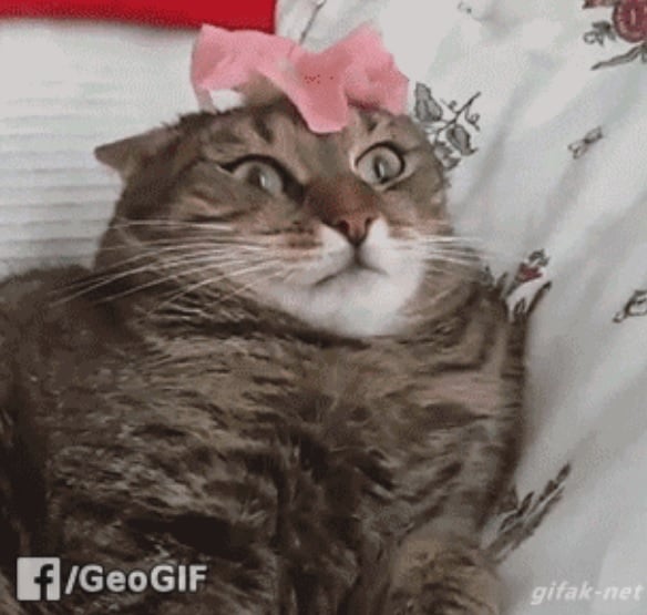   Foto: Reprodu&ccedil;&atilde;o/JC