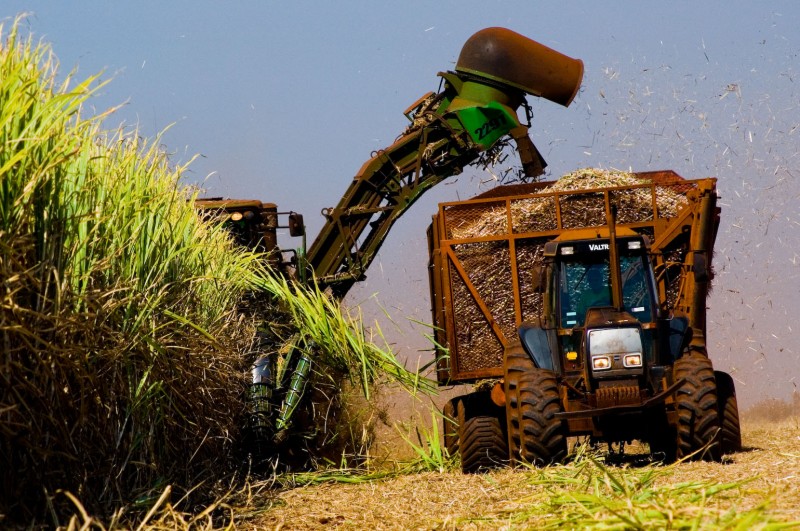 Estimativa da Unica mostra que a receita do setor deve atingir nesta safra cerca de R$ 84 bi