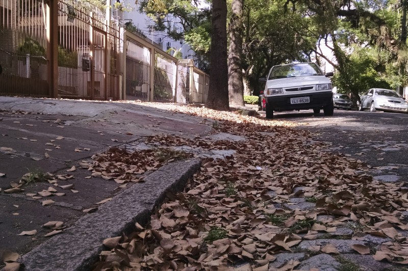  PG3.  Folhas secas na rua Olavo Bilac. Outono fora de época.  