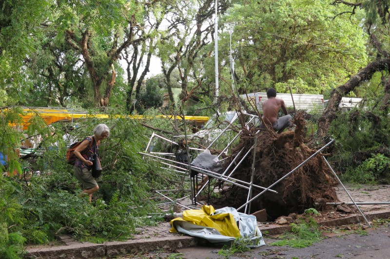 Árvores caídas na José Bonifácio atingiram bancas, mas Feira Ecológica aconteceu em espaço improvisado
