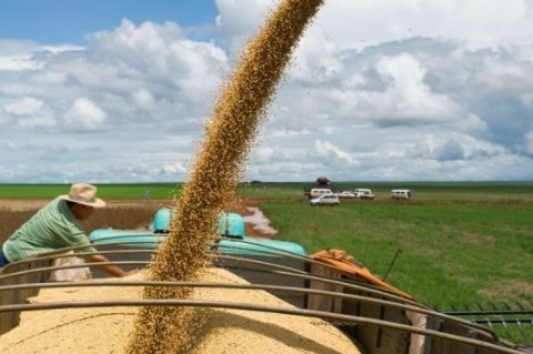  (FILE) A COMBINE HARVESTER POURS CROPPED SOYBEANS IN A TRUCK, IN CAMPO NOVO DO PARECIS, ABOUT 400KM NORTHWEST FROM THE CAPITAL CITY OF CUIABA, IN MATO GROSSO, BRAZIL, ON MARCH 27, 2012.   AFP PHOTO/YASUYOSHI CHIBA  