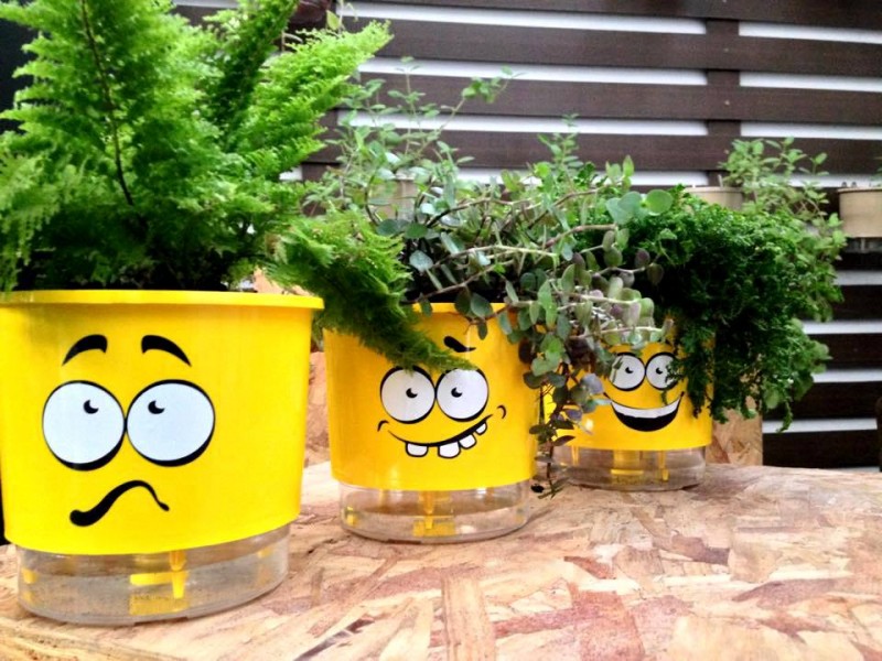 Vasos da Raiz tamb&eacute;m podem ser personalizados  Foto: Reprodu&ccedil;&atilde;o/Facebook/JC 