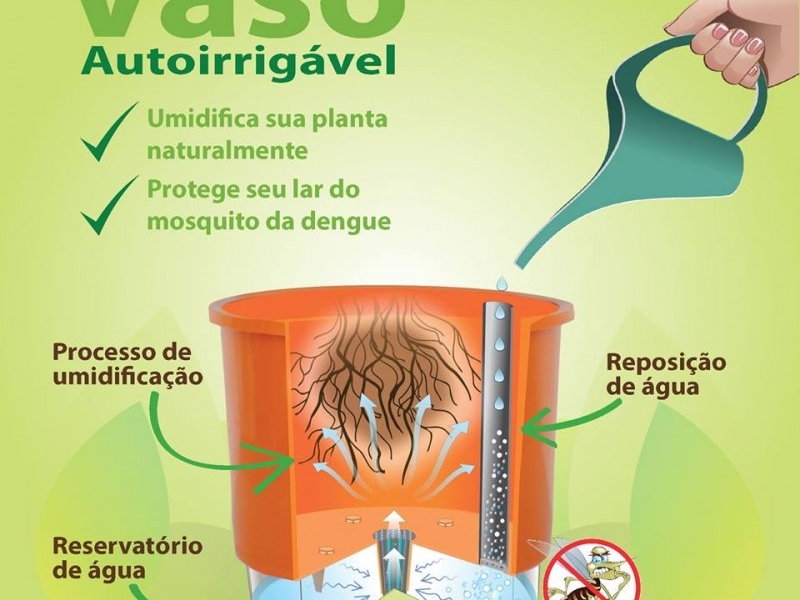 Entenda como funciona o vaso autoirrig&aacute;vel da Raiz  Foto: Reprodu&ccedil;&atilde;o/Facebook/JC 