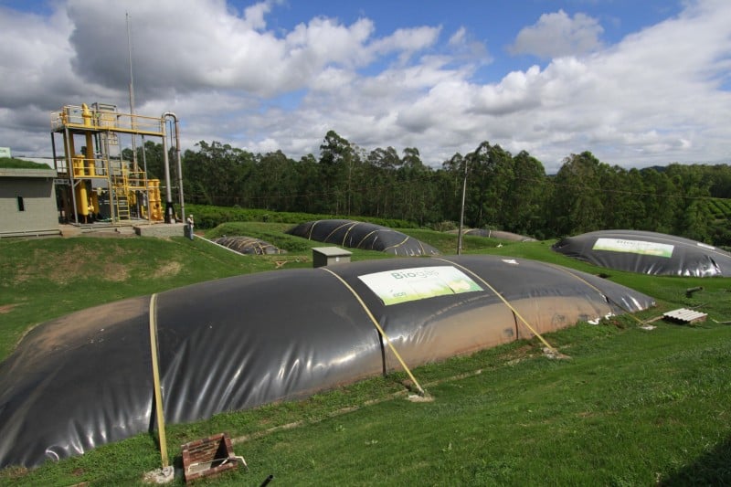 Biocombustível é gerado a partir da decomposição de dejetos orgânicos