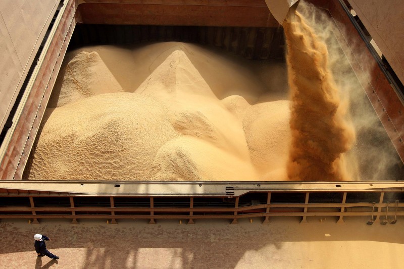 Estimativa de produção de soja na safra de 2016 caiu 0,8% em fevereiro