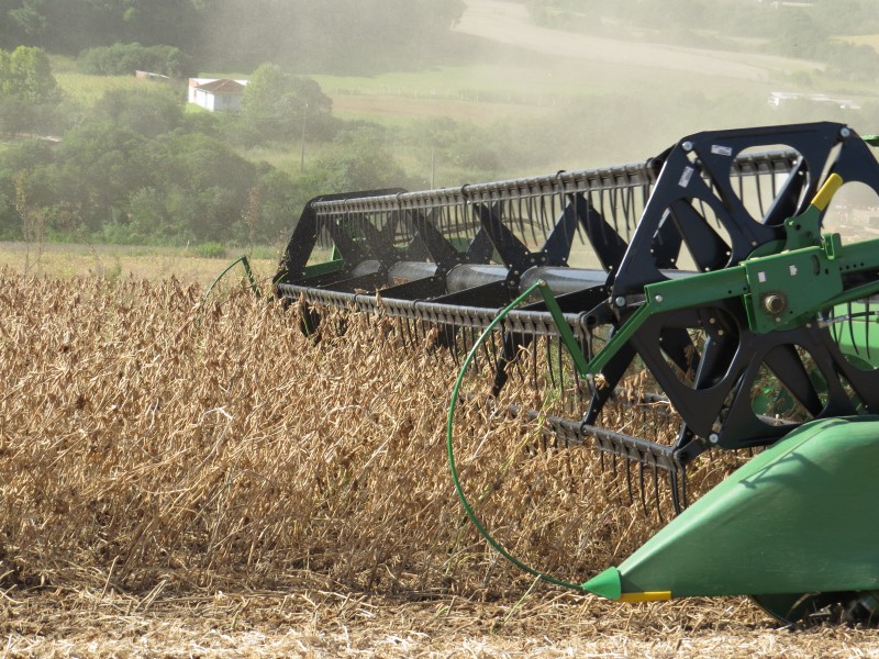 Produtores de soja têm colhido uma média de 3 mil quilos por hectare