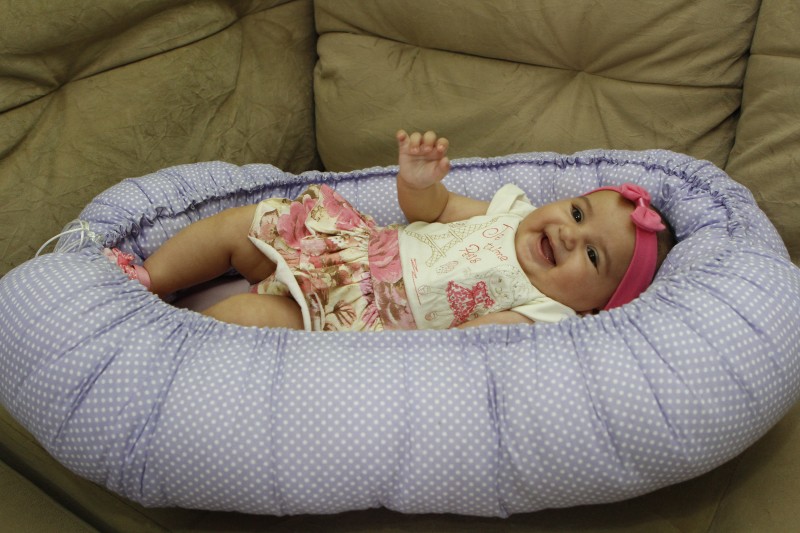 Por que o ninho? Foto: MARCO QUINTANA/JC