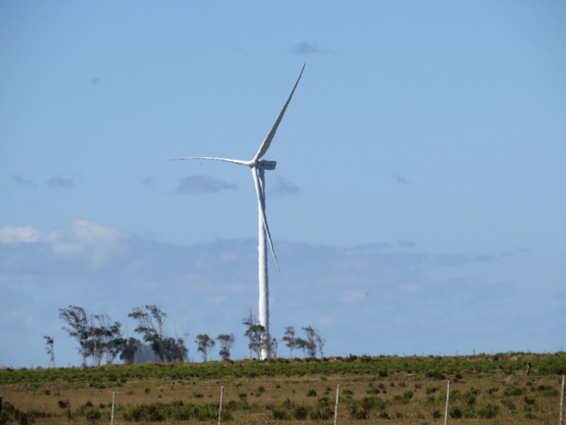 Projetos eólicos são considerados prioritários pelo governo gaúcho
