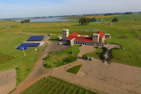 Vinícola Guatambu, movida a energia solar