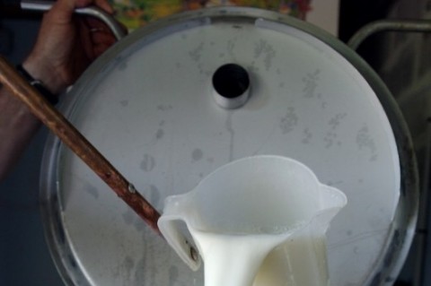 Referência estimada para o mês de dezembro é de R$ 0,9407 o litro