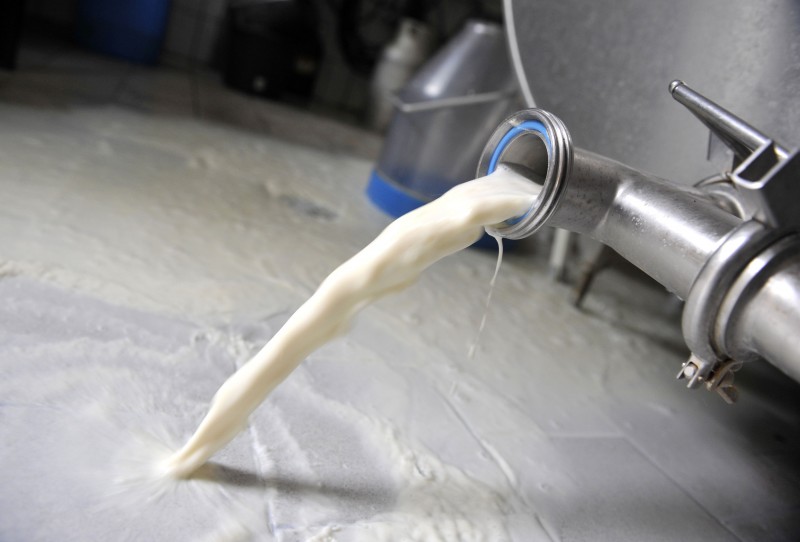 Nos últimos três anos, foram 12 operações para investigar fraudes em produtos lácteos