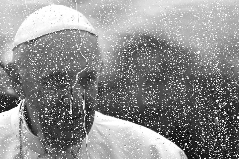 Papa fala de piedade a homens e cuidado com animais em audiência na Praça de São Pedro