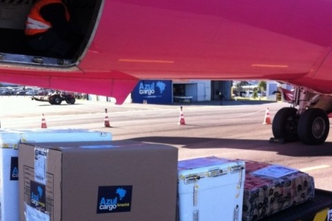 Região tem frequência de seis voos semanais para o Centro do País  