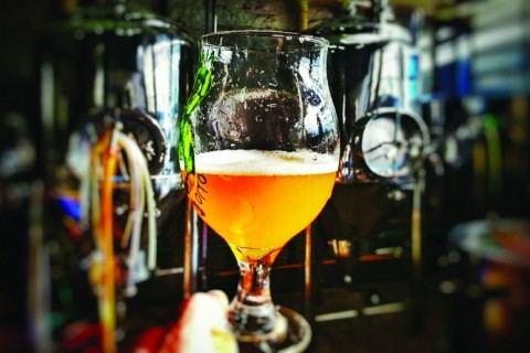 A atividade receber� 1,5 mil amostras de todo o Pa�s