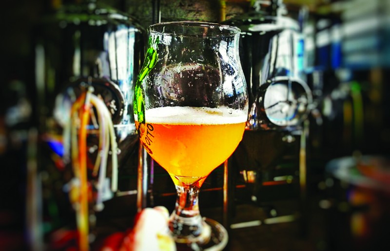 A atividade receber&aacute; 1,5 mil amostras de todo o Pa&iacute;s Foto: SINIMBU/JONATHAN HECKLER/JC