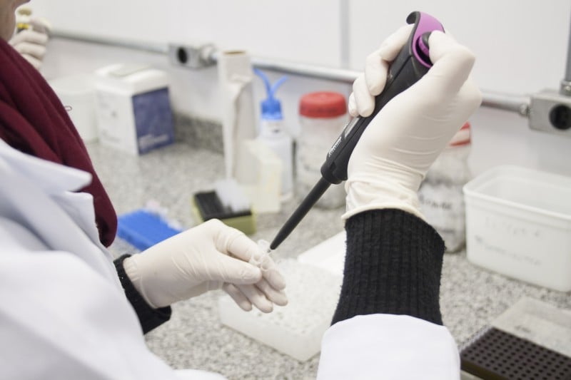 As partículas lentivirais são especialmente projetadas para entrar de forma eficiente e seletiva nas células T do organismo, permitindo que o próprio corpo do paciente gere terapias com células T