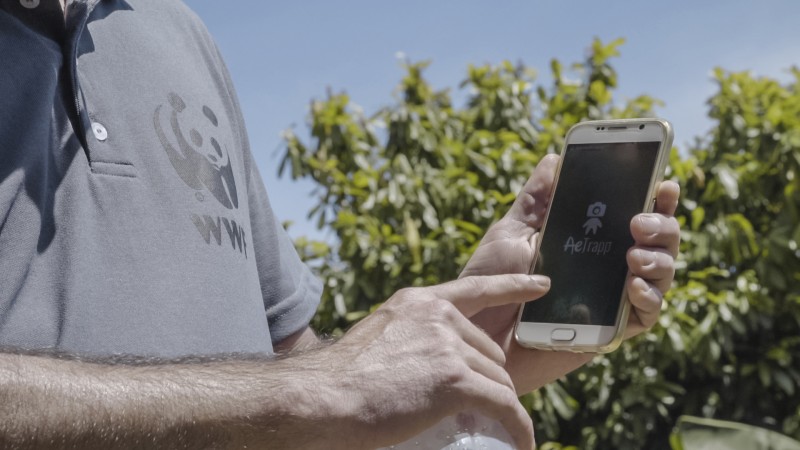  Foto: GOOGLE/DIVULGA&Ccedil;&Atilde;O/JC