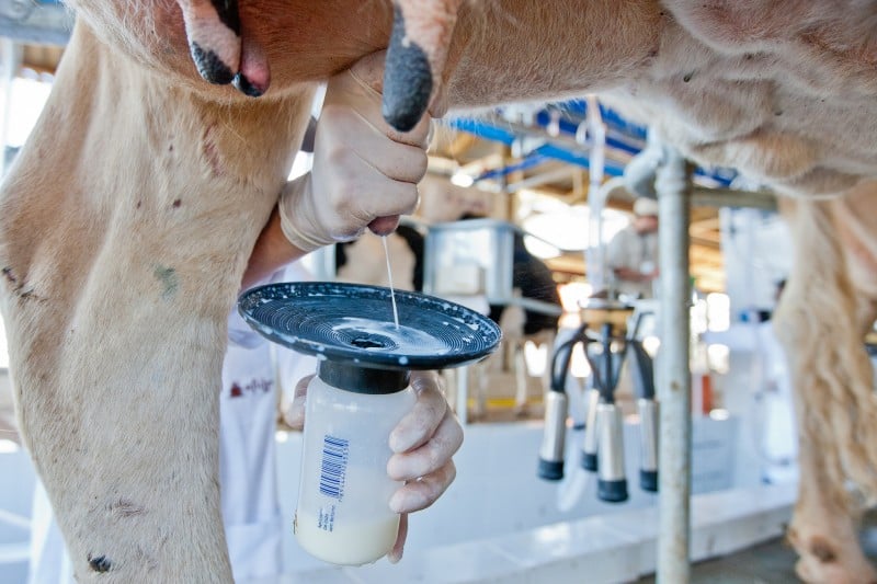 Também houve queda na aquisição de leite, que recuou 6,8%