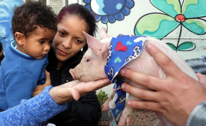 Encontros duram cerca de uma hora e o próximo está agendado para o dia 22 de agosto
