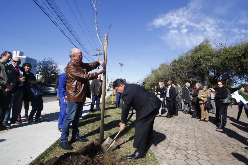 Plantio de seis mudas de ipê-amarelo simboliza compromisso com sustentabilidade