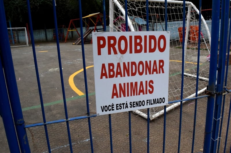 Animais eram abandonados em frente à instituição Patas Dadas que teve de fechar as portas