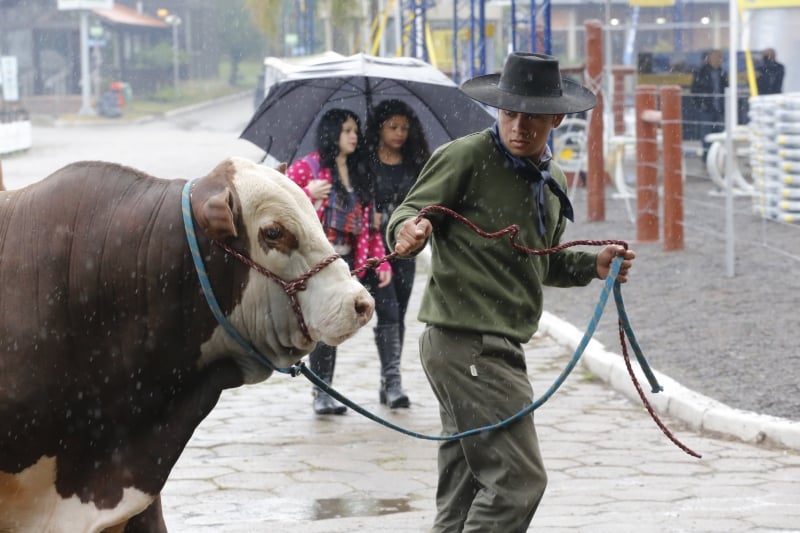 Expointer registra primeiro dia com chuva, dificultando os passeios no parque