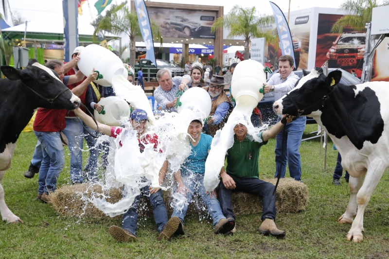 Banho de Leite premia as vacas com maior produtividade durante os primeiros dias de exposição