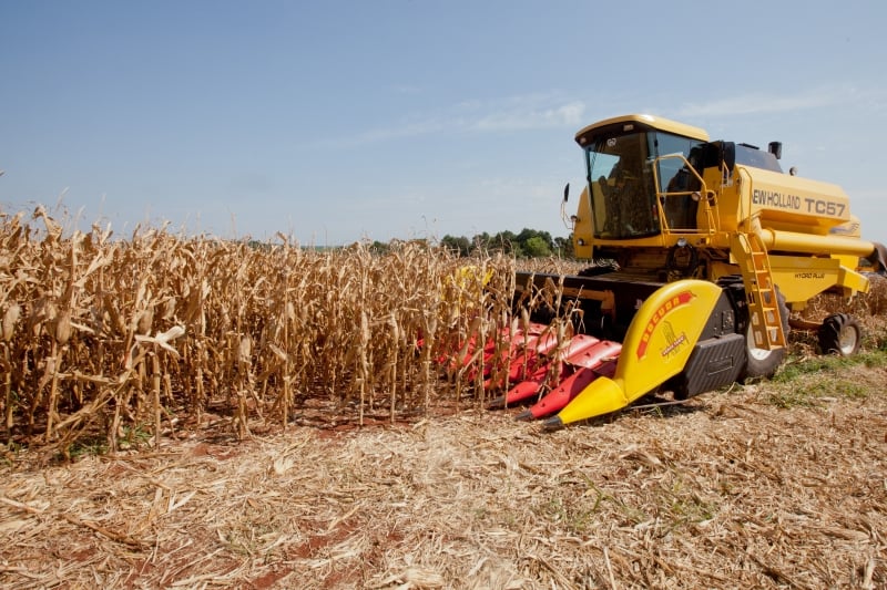 Maior diminuição foi registrada nas lavouras de milho, que sofreram uma queda de 20,9% em todo o Brasil