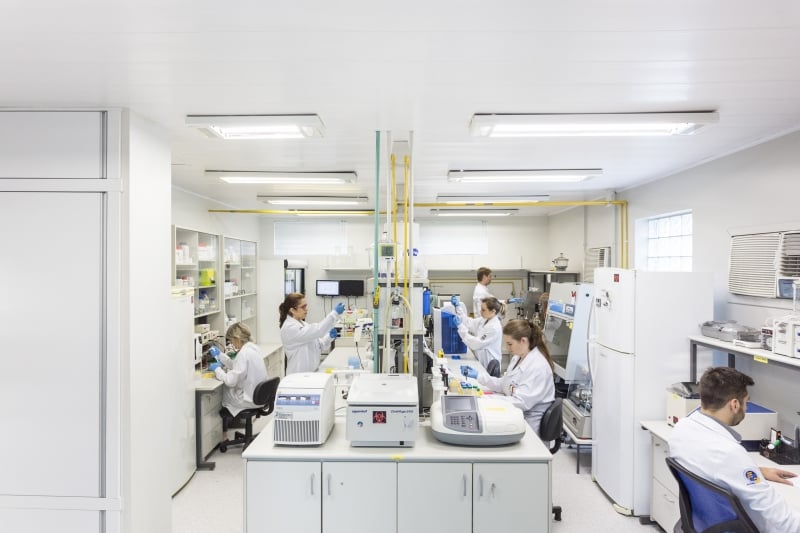 Anexina V é usada na medicina, no tratamento de câncer