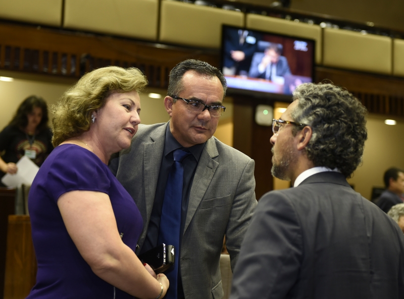 Deputada Silvana Covatti anunciou que votação acontecerá na semana que vem