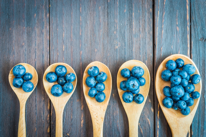 Mirtilo está entre as culturas que exigem mais pessoas envolvidas no manejo 