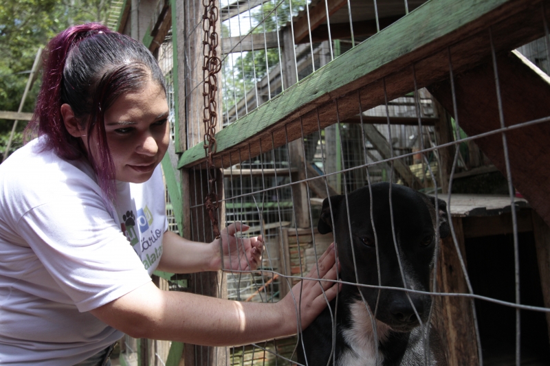 A ONG abriga mais de 350 animais abandonados