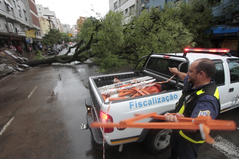 Temporal causou queda de árvore na Lima e Silva, interrompendo a via