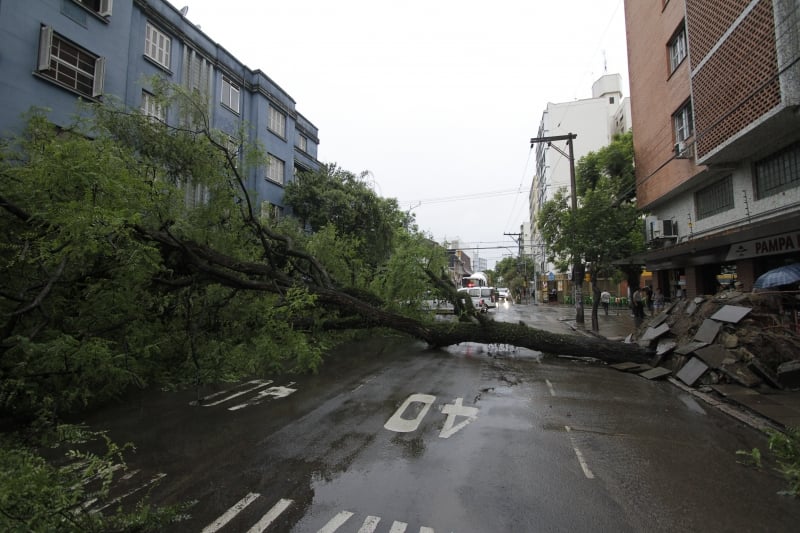 Queda de árvora interrompeu o trânsito na rua Lima e Silva